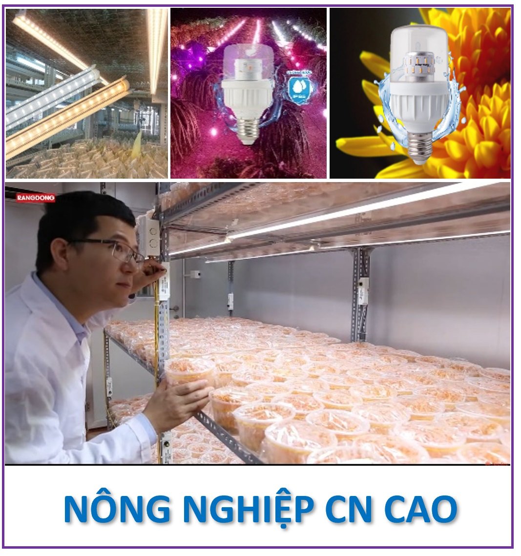 NÔNG NGHIỆP CN CAO